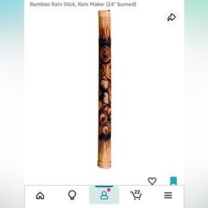 Rain stick